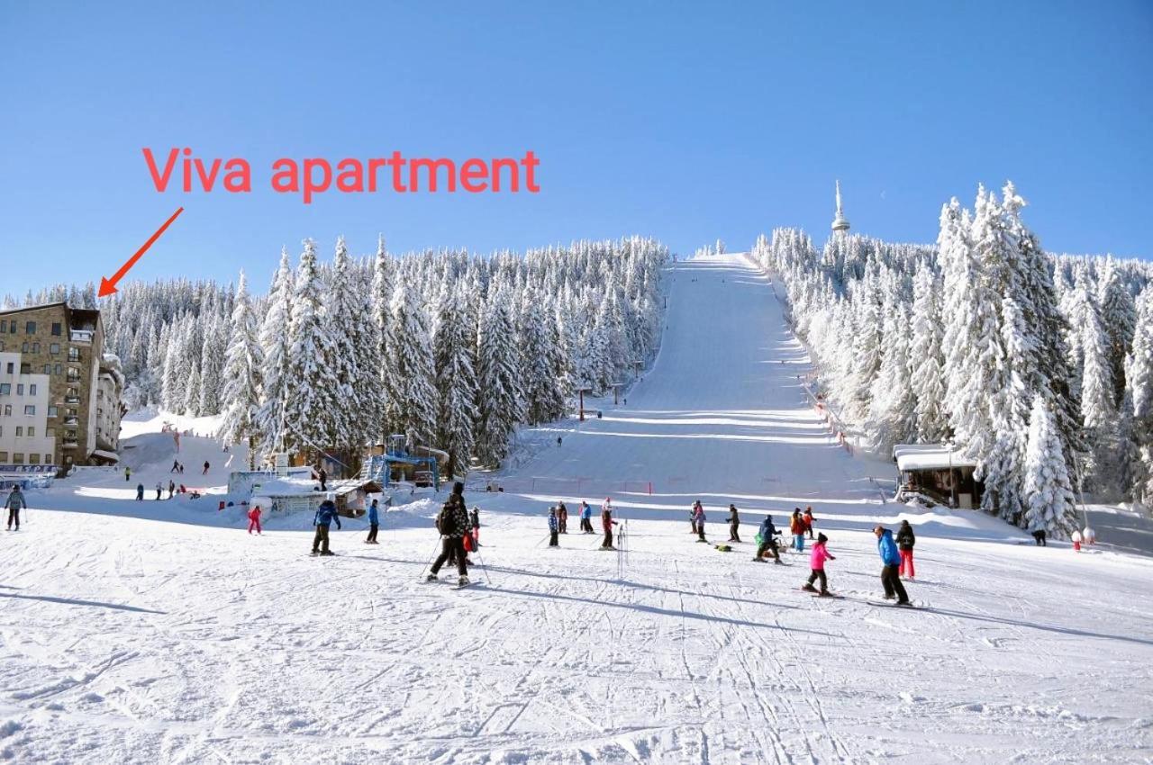 Viva 6 Apartment In Hotel Stenata Pamporovo Kültér fotó